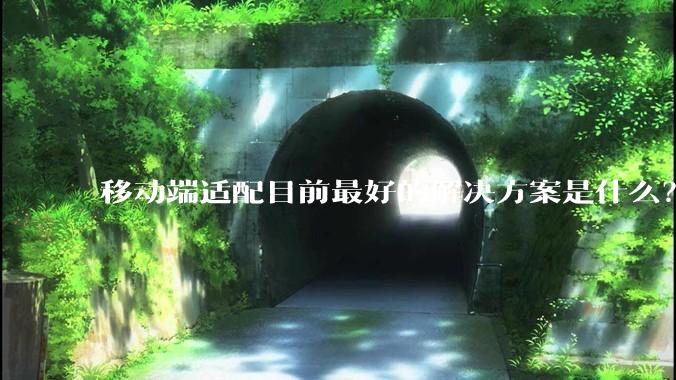 移动端适配目前最好的解决方案是什么？