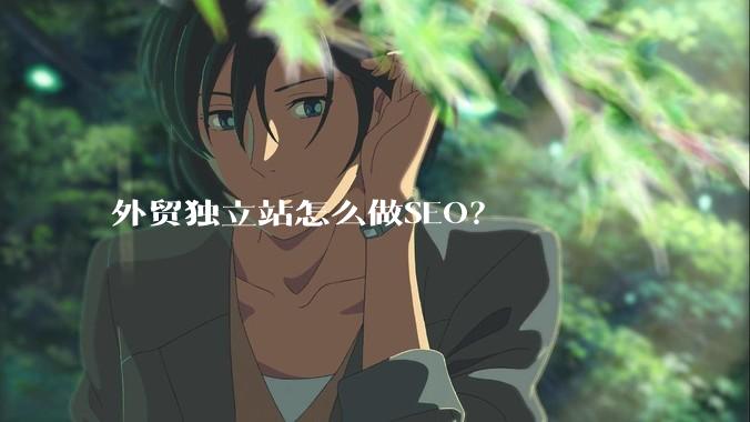 外贸独立站怎么做SEO？