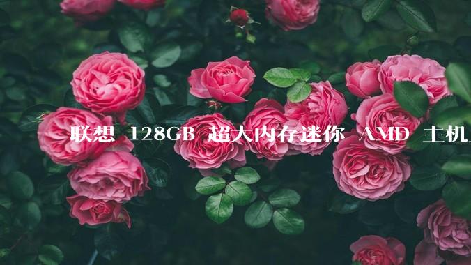 联想 128GB 超大内存迷你 AMD 主机上架，此款主机有哪些亮点？
