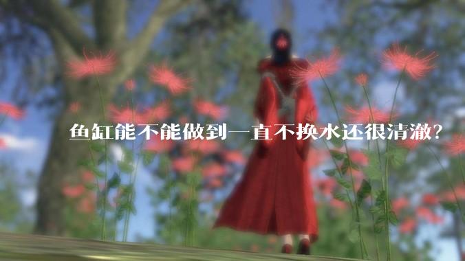 鱼缸能不能做到一直不换水还很清澈？