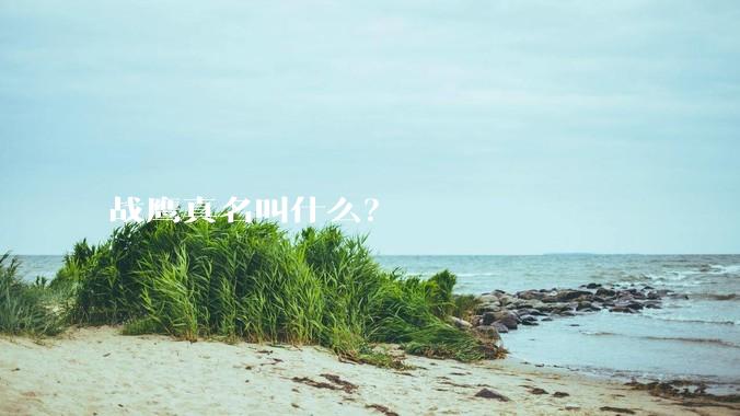 战鹰真名叫什么？