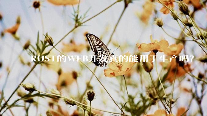 RUST的WEB开发真的能用于生产吗？